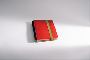 Taschenbegleiter A5 Koralle Sand Olive