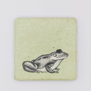 Untersetzer Fliese Frosch